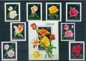 Roses